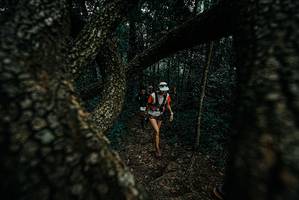 BIB: 
                            <button type="button" onclick="openModal(25688464)" class="btn btn-primary btn-sm float-right btn-popup" data-toggle="modal" data-target=".modal-high-quality">
                        <i class="fas fa-shopping-cart"></i> Add to Cart
                    </button>
                                            <button type="button" onclick="isThisMe(25688464, true)" class="btn btn-success btn-sm float-right btn-popup btn-isme hidden" data-toggle="tooltip" data-placement="bottom" title="นี่คือรูปของคุณใช่ไหม คลิกที่นี่เพื่อเอาเข้าอัลบั้ม">
                        <i class="fas fa-plus"></i> Add to album
                    </button>
                    <button type="button" onclick="isThisMe(25688464, false)" class="btn btn-warning btn-sm float-right btn-popup btn-isnotme hidden">
                        <i class="fas fa-ban"></i> Remove from album
                    </button>